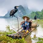 Sean Pavone/Shutterstock.com