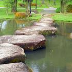 katatonia82/Shutterstock.com