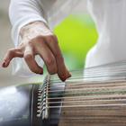 enmyo/Shutterstock.com