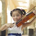 allensima/Shutterstock.com