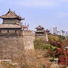 ebenart/Shutterstock.com