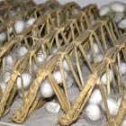 3D_creation/Shutterstock.com