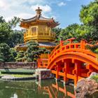 Pelikh Alexey/Shutterstock.com