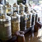 tiptoee/Shutterstock.com