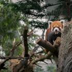 Nattapoom V/Shutterstock.com