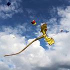 Maria Kostylova/Shutterstock.com