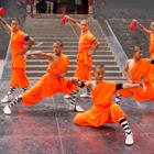 SIHASAKPRACHUM/Shutterstock.com