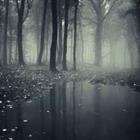 andreiuc88/stock.adobe.com