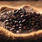 amenic181/stock.adobe.com