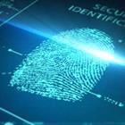 peshkova/stock.adobe.com