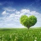 Maksim Samasiuk/stock.adobe.com