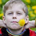 natalinka29/stock.adobe.com