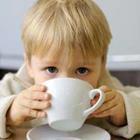 papagoshi/stock.adobe.com