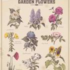 Anja Kaiser/stock.adobe.com