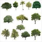 vicelord6/stock.adobe.com