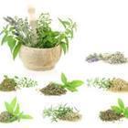 viperagp/stock.adobe.com