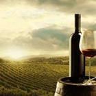 stokkete/stock.adobe.com