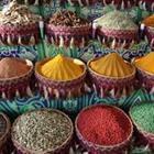 mila_ylv/stock.adobe.com