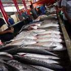 brilliantiki/stock.adobe.com