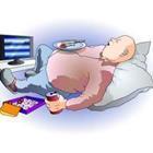 diez-artwork/stock.adobe.com