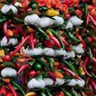 Victoria Demidova/stock.adobe.com