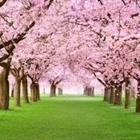 Smileus/stock.adobe.com