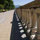 ushastic/stock.adobe.com