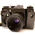 Konyakhina Daria/stock.adobe.com