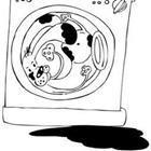 Оксана Вовковинская/stock.adobe.com