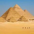 Pius Lee/stock.adobe.com