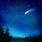 Elena Schweitzer/stock.adobe.com