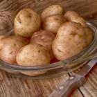 nikolaydonetsk/stock.adobe.com