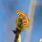 bobov/stock.adobe.com