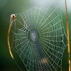 Robbic/stock.adobe.com