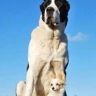 buzzzikin/stock.adobe.com