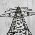 mojolo/stock.adobe.com