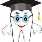 Xendim/stock.adobe.com