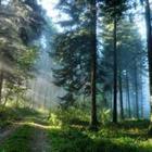 el_r1010/stock.adobe.com