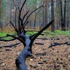 Anutaekb/stock.adobe.com