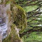 Dimidrol/stock.adobe.com