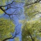 Ckrack/stock.adobe.com