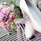 pukall-fotografie/stock.adobe.com