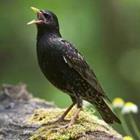 Reddogs/stock.adobe.com