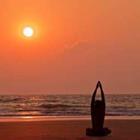 Victoria Demidova/stock.adobe.com