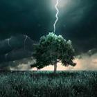 Giordano Aita/stock.adobe.com