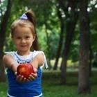 tomozina1/stock.adobe.com