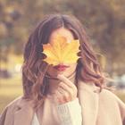 MillaF/Shutterstock.com