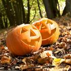 allstars/Shutterstock.com