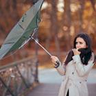 Nicoleta Ionescu/Shutterstock.com