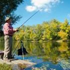 Anton Gvozdikov/stock.adobe.com